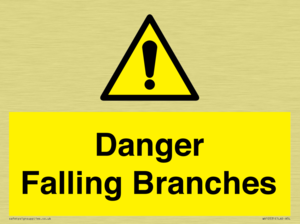 Danger Falling Branches